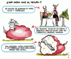 Tetuan 001