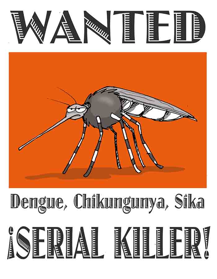 zika22