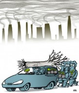 Ambiental1